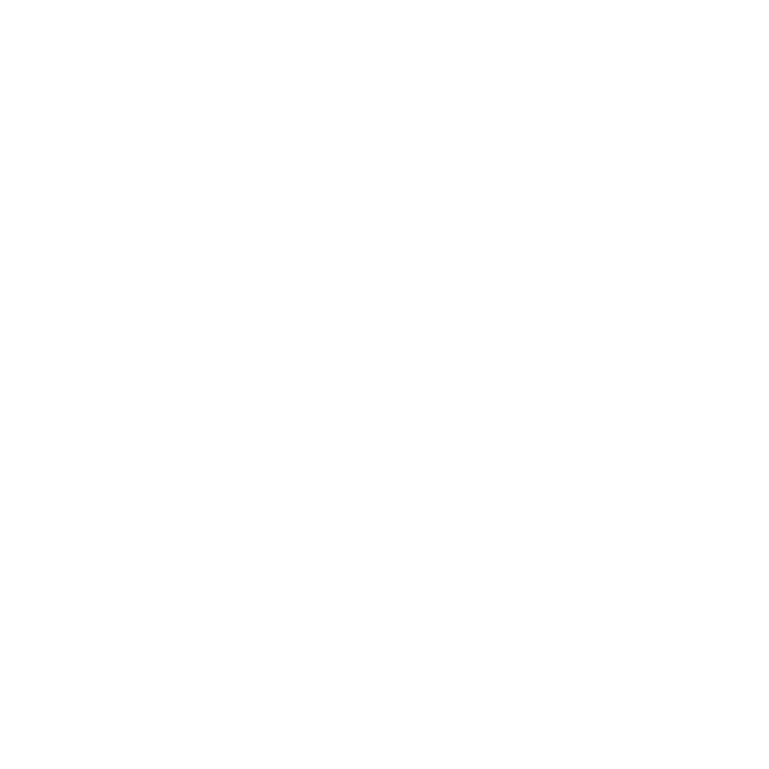 LPT Realty logo white